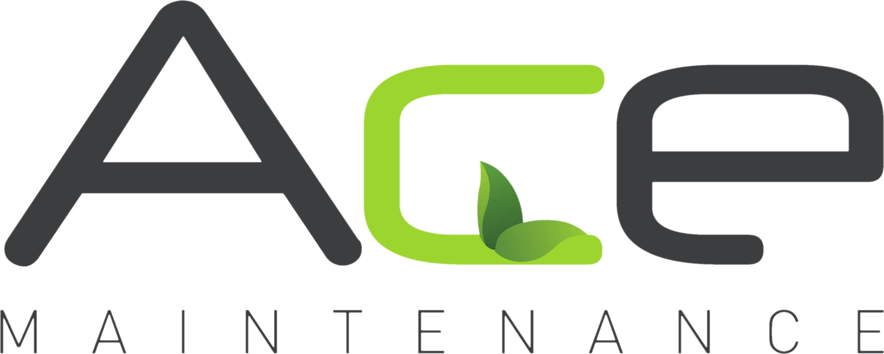 Ace Logo 1 cutout