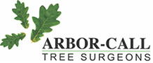 Arbor