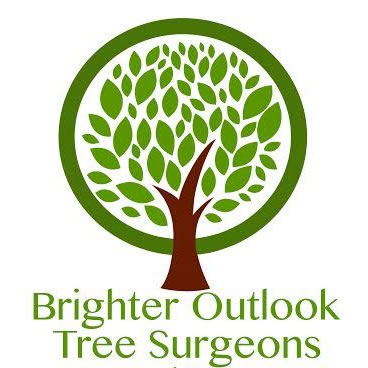 Brighter Outlook Logo 368x368