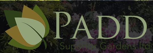 Padd